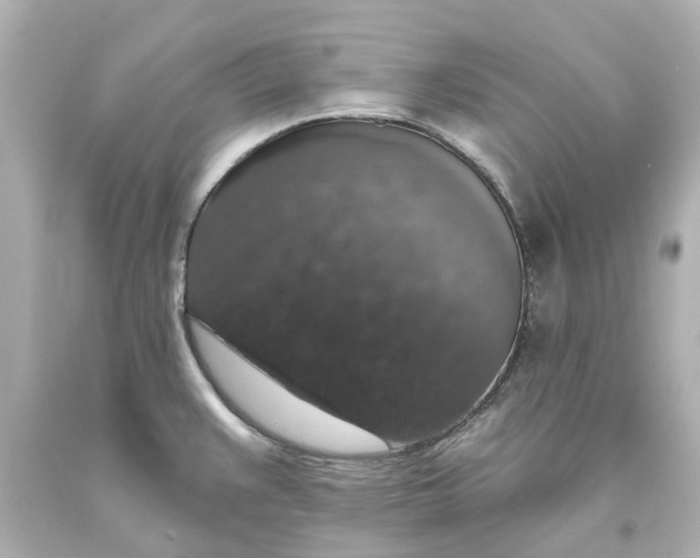 X0000093621383200710291217