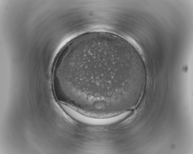 X0000093621384200710291217