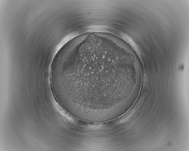 X0000093621386200710291217