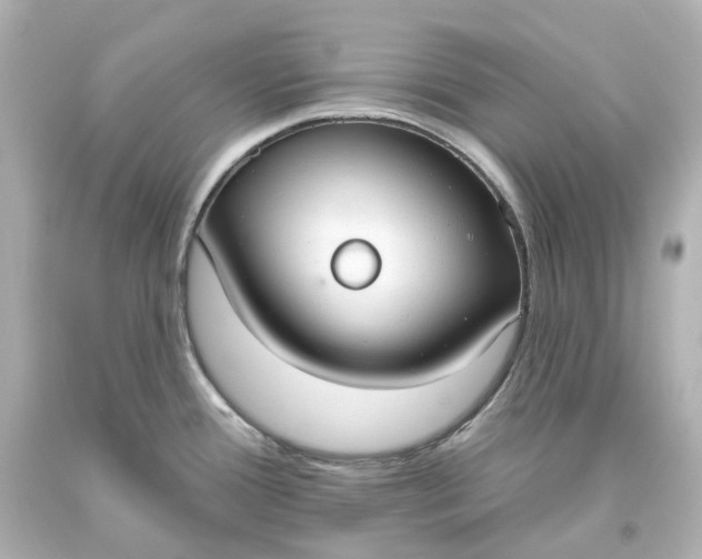 X0000093621388200710291217