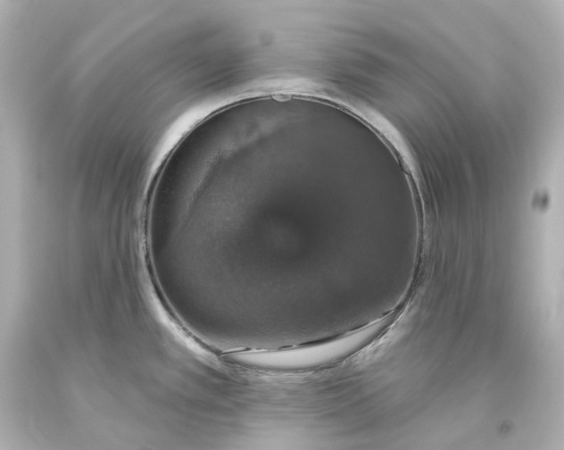 X0000093621389200710291217