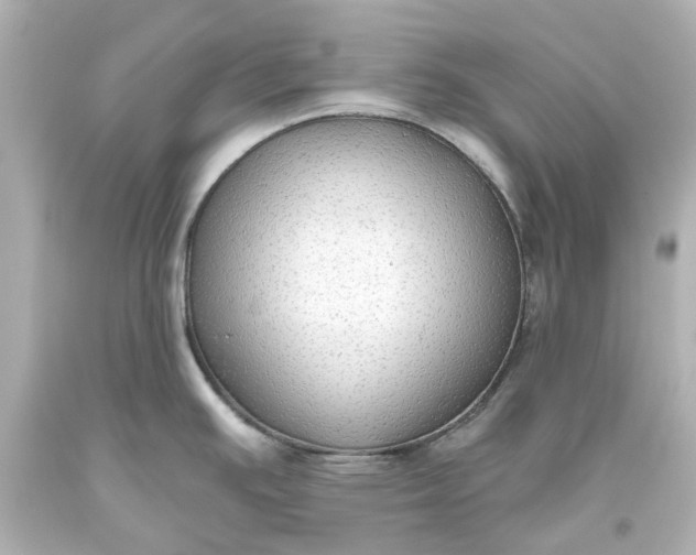 X0000093621391200710291217