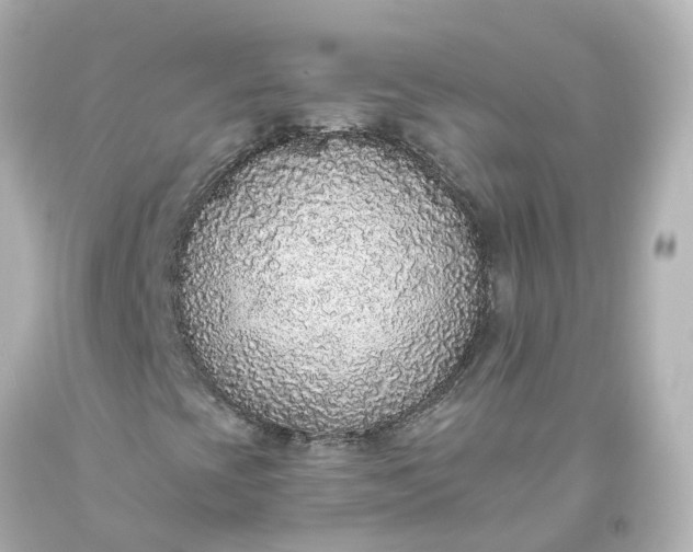 X0000093621393200710291216