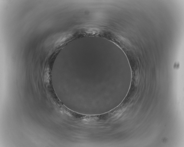 X0000093621394200710291216