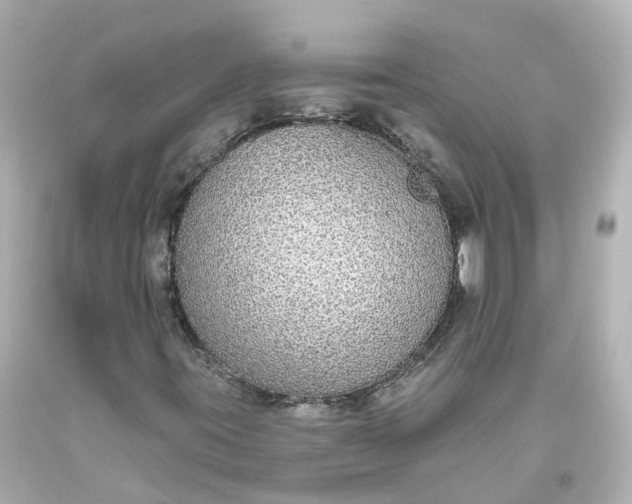 X0000093621395200710291216