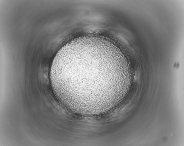 X0000093621396200710291216