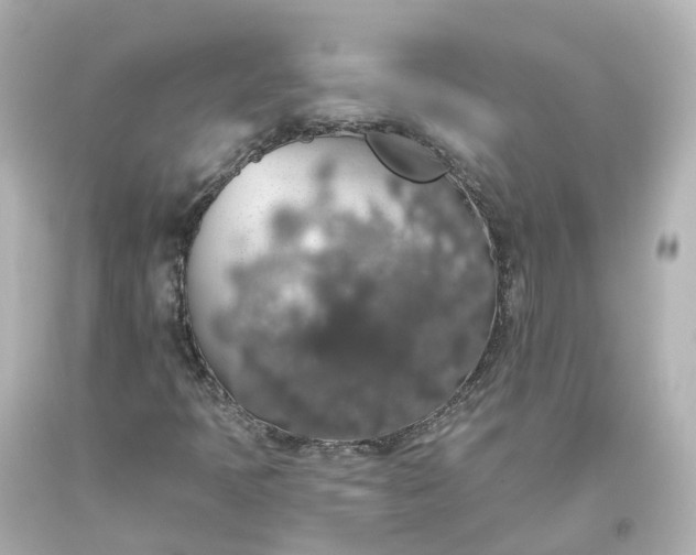 X0000093621397200710291216