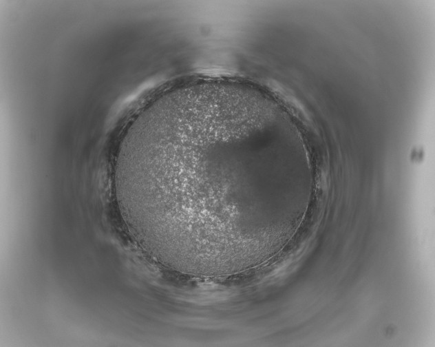 X0000093621398200710291216