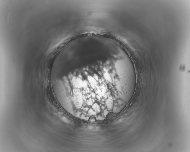 X0000093621399200710291216