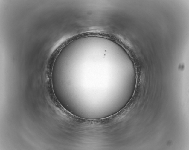 X0000093621400200710291216