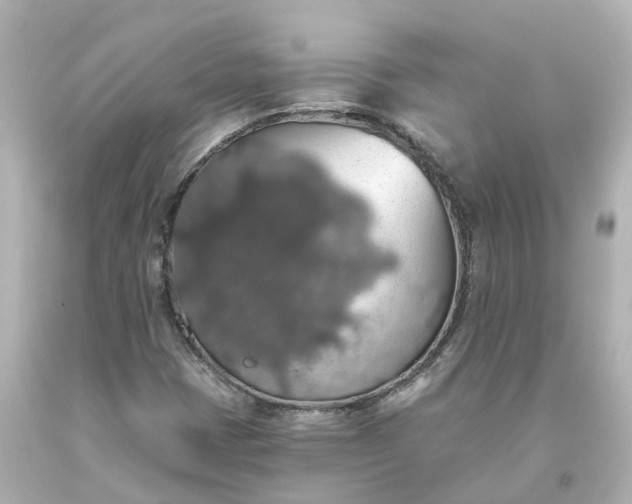 X0000093621401200710291216