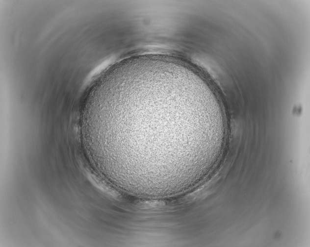 X0000093621403200710291216