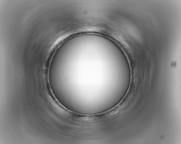 X0000093621404200710291216