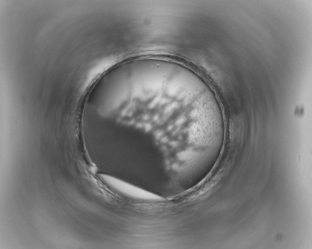 X0000093621405200710291216