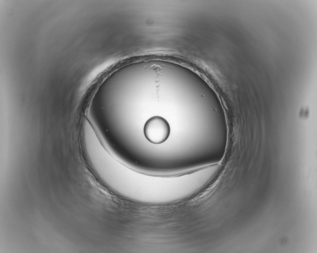 X0000093621406200710291216