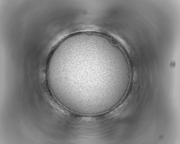 X0000093621407200710291216