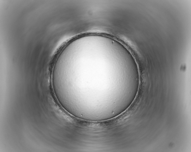 X0000093621408200710291216