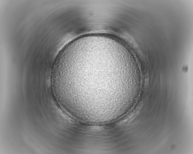 X0000093621409200710291216