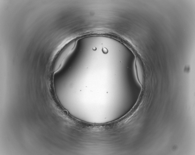 X0000093621410200710291216