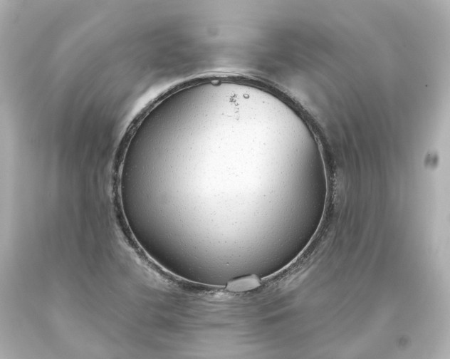 X0000093621412200710291216