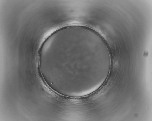 X0000093621413200710291216