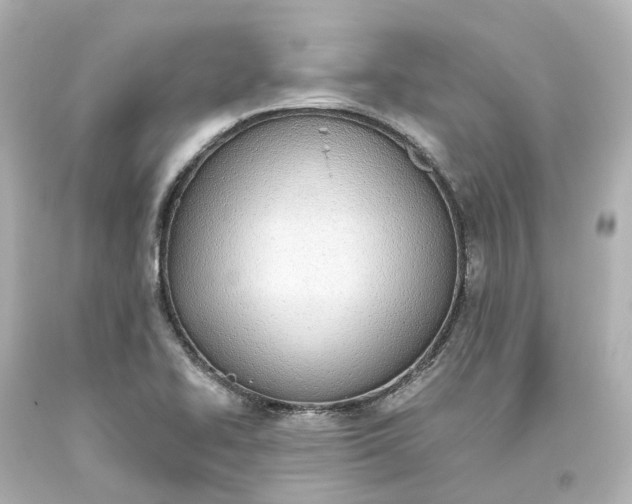 X0000093621414200710291216