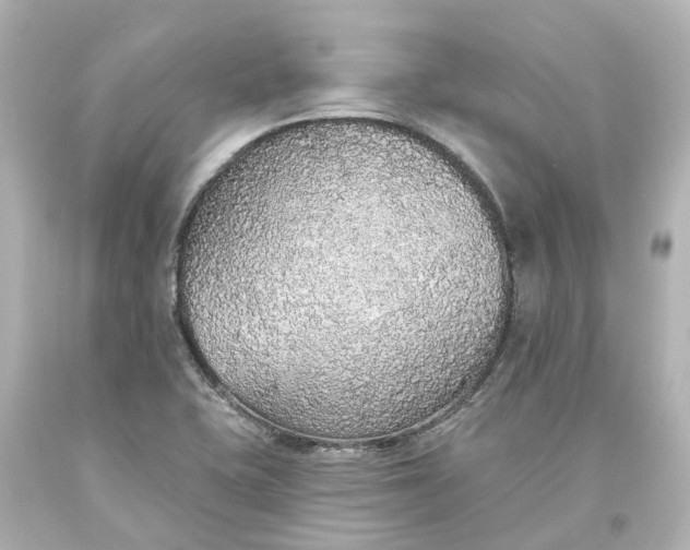 X0000093621415200710291216