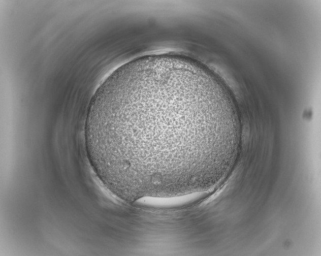 X0000093621417200710291216