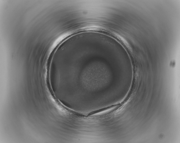 X0000093621418200710291216