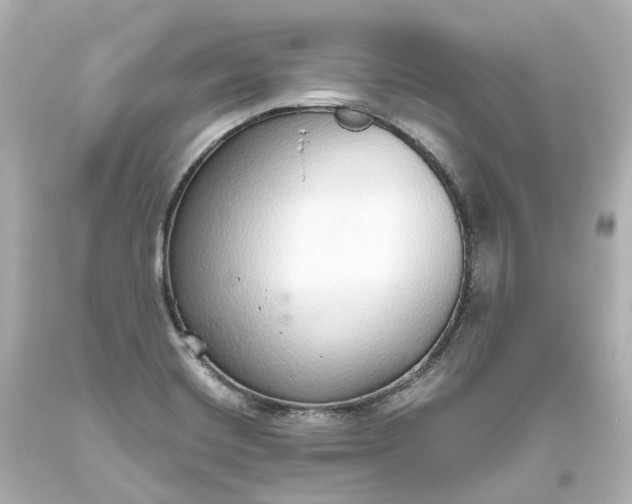 X0000093621420200710291216