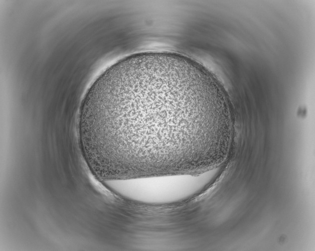 X0000093621421200710291216