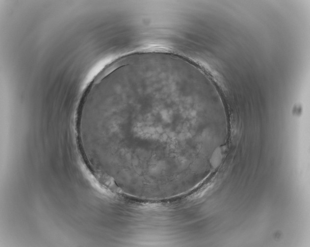 X0000093621422200710291216