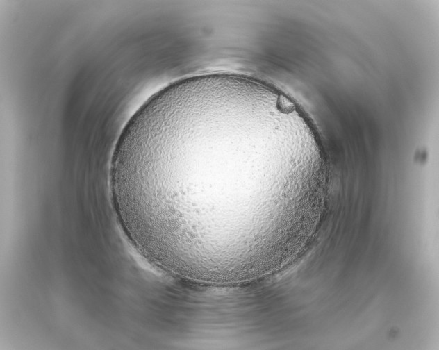 X0000093621423200710291216