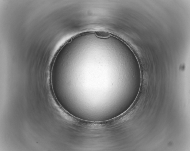 X0000093621424200710291216