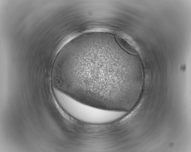 X0000093621425200710291217