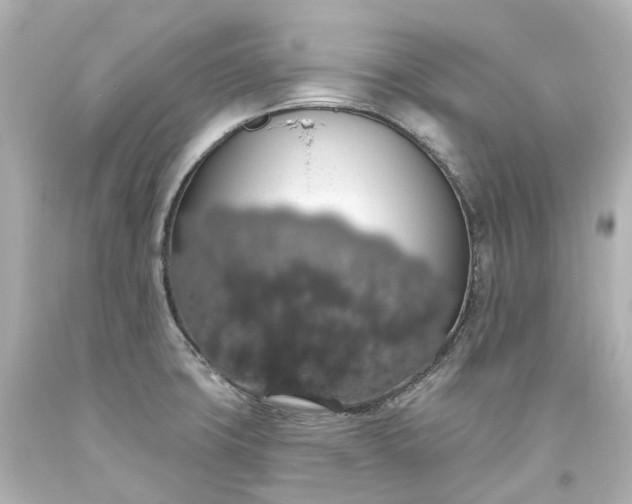 X0000093621427200710291217