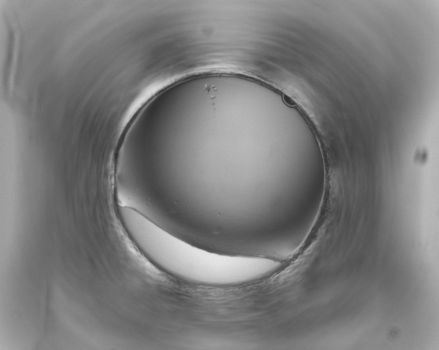 X0000093621428200710291217