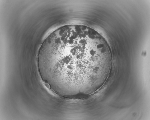 X0000093621429200710291217