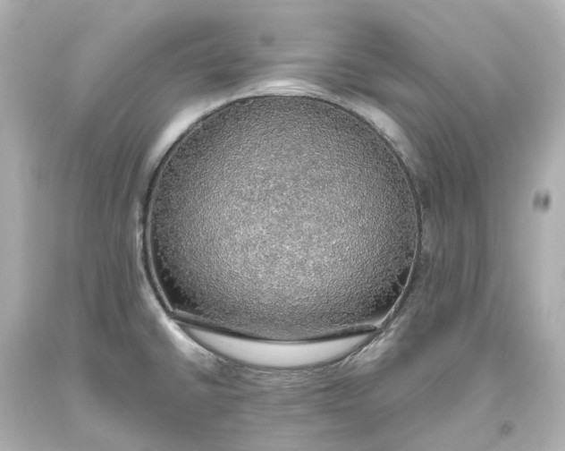 X0000093621430200710291217