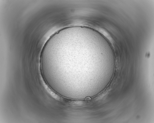 X0000093621431200710291217
