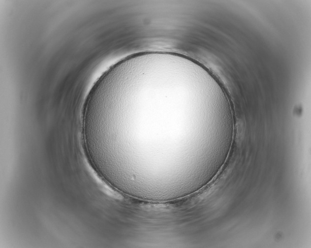 X0000093621432200710291217