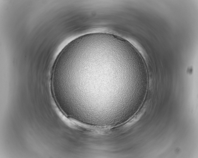 X0000093621438200710291217