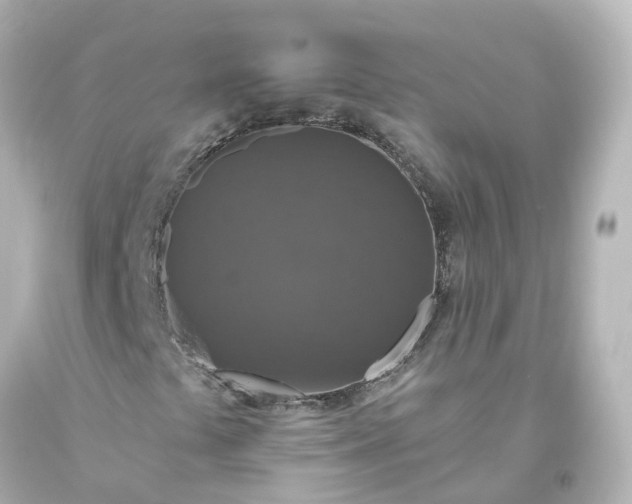 X0000093621441200710291216