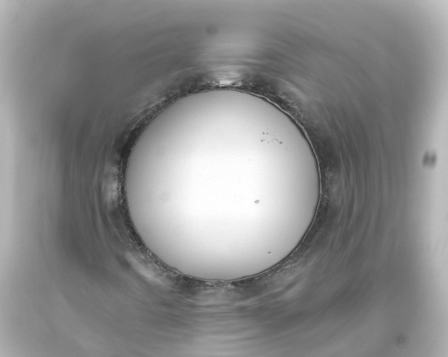 X0000093621442200710291216