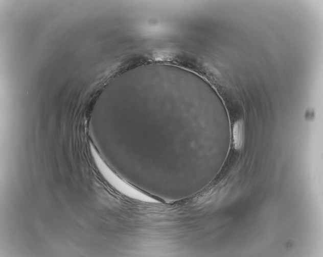 X0000093621443200710291216