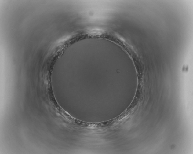 X0000093621445200710291216