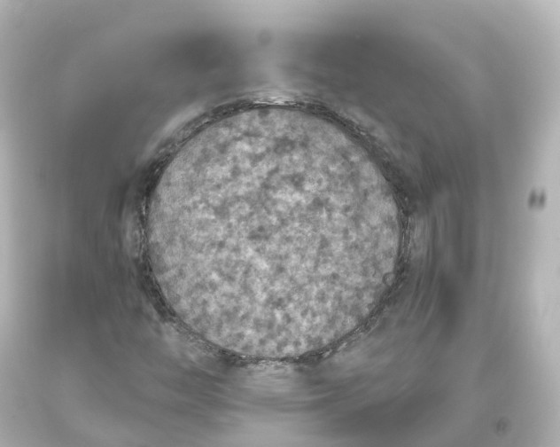 X0000093621446200710291216