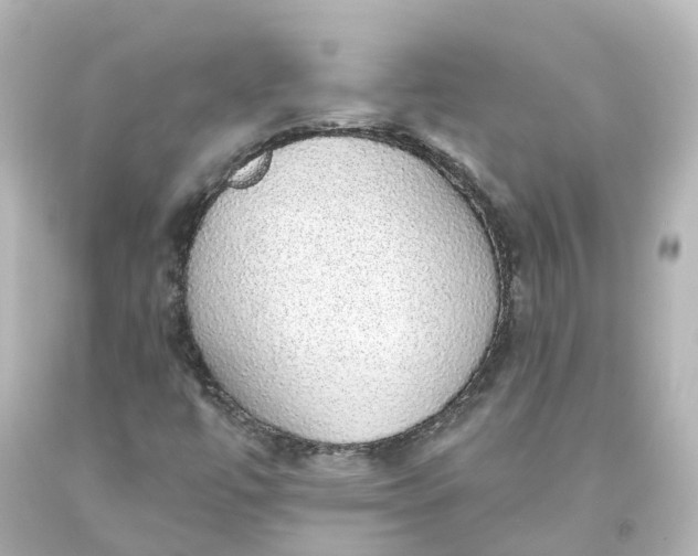 X0000093621447200710291216