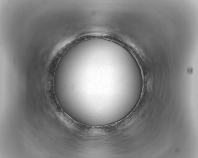X0000093621448200710291216