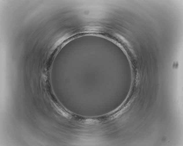 X0000093621449200710291216